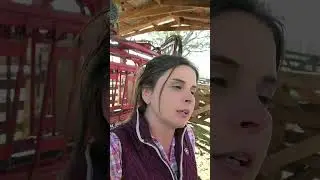 Эта девчонка гналась за ковбоями по забору! #скот #ранчо #фермерскаяжизнь #коровы #сумасшедшаякорова