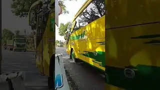 GUARDIAN HEART 💚💛