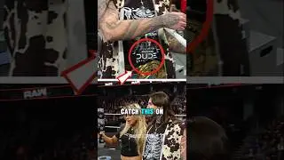 WWE Quietly Adding Sponsorships to Superstar Merch?