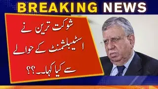 Shaukat Tarin statement about Establishment | Geo News