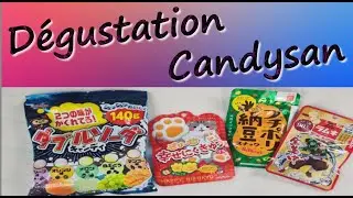 D&eacute;gustation Japonaise Candysan !