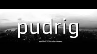 Как произносится pudrig на немецком языке?