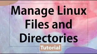 How to Manage Files and Directories in Linux | Linux Basic Navigation | Linux Command Line Tutorial
