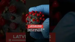Новый штамм COVID-19 добрался до Европы