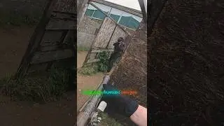 Когда британцы играют в страйкбол 🇬🇧☕️