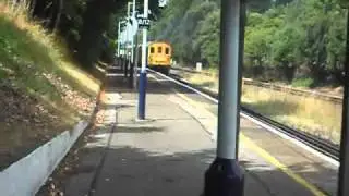 1001 Thumper Passes Pokesdown