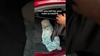 Crowno Privacy Curtain