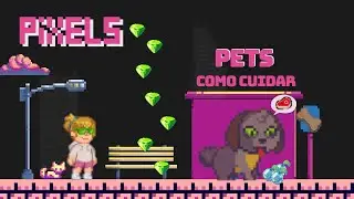 PIXELS NFT  - ONDE COMPRAR E COMO CUIDAR DE UM PET