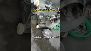 Fish Meat Bone Separator Review: Is It Worth the Investment? #fishmeat #fish #fishmeatmachine