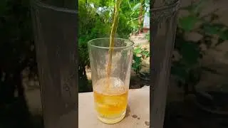 cool ice tea ✌                                    #tea #srilanka #cool