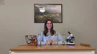 Can Moonlight & Quartz Affect Water on a Microscopic Level?