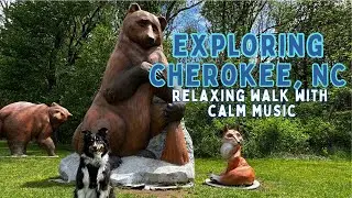 Explore Cherokee, NC With Us, Peaceful River Hike, Virtual Dog Walk, Dog TV, Calm Music Relax Dogs