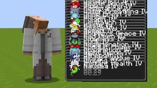 Minecraft, but we get 10 Potion Effects everytime we take damage...