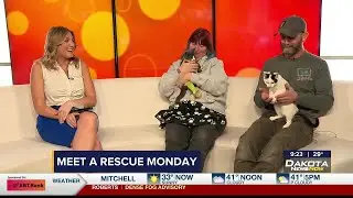 Meet a Rescue Monday: Ricket and DJ