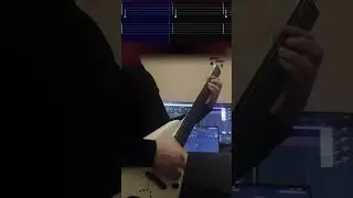 The Eternity Guitar Playthrough #blackmetal #metal #guitarplayer