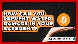 How Can You Prevent Water Damage in Your Basement? | Your Home Insurance Guide News