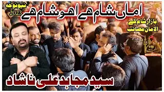 Syed Mujahid Ali Nashad | Ama Sham Hai | New Noha 2023 | Live Shah Shams Multan