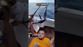 VOC&Ecirc; APRENDEU ERRADO! ESSE N&Atilde;O &Eacute; O PEIXE ESPADA DE VERDADE!!
