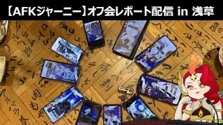 【ご報告】オフレポと子供ができたので今後の配信活動について【AFKジャーニー】