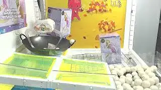 A Toreba Free Ticket win fit enough for a princess!