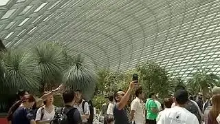Flower dome in singapore