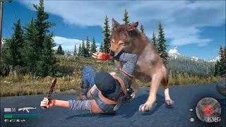 Days Gone _ Hunt animal Boozer need meat