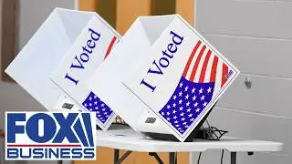 US election security is a ‘NATIONAL EMERGENCY’: ‘The Federalist’ elections correspondent