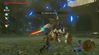 Botw 7