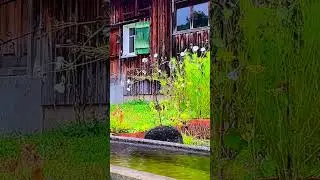 #Switzerland#Walking#Tour#Most#Beautiful#Village#