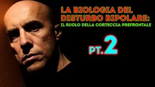 La Biologia del Disturbo Bipolare Pt 2: il ruolo della Corteccia Prefrontale