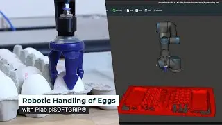 Robotic Handling of Eggs