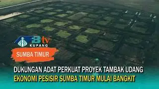 Modern Shrimp Farms Boost East Sumba's Economy, Leading Palakahembi to Become a National Shrimp C...