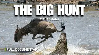 Masai Mara: The Great River Hunt | Full Nature Documentary