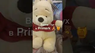 Винни Пух в Primark 🧸🍯