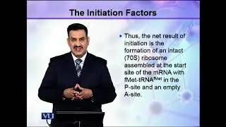 The Initiation Factors | Cell Biology | BIO5105_Topic130