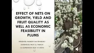 Effect of nets on growth, yield, fruit quality and economic feasibility in plums. (N van Rensburg)
