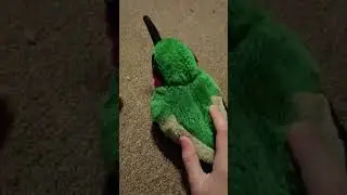 Mr Green Rumi and Mr Big Head get Taco Bell