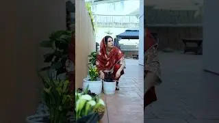 Desi Mom,,Self Defense kam Nahi Aya..#comedy