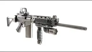 The David Selvaggio Arms - SA58 OSW (A Ready Or Not Cinematic)