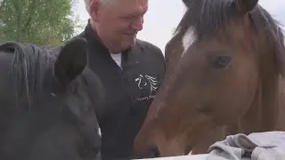 Illinois bill could expand horse therapy in insurance coverage