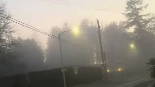 From The Fog Into The Light