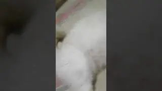Chuzar dedo