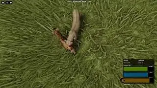 Hyena and Wild Dog - Killing Lioness #4 | Wild Savannah