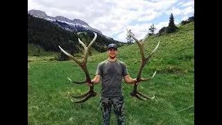 Racing For Elk Sheds