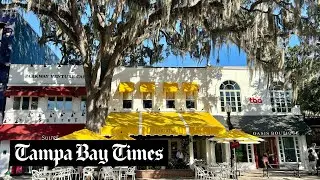 5 Florida road trips to take for spring break from Tampa Bay