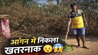 जहाँ रोज़ बैठना होता था… वहीं सामने आ गया अजीब सा दिखने वाला सांप 😱🐍🙂‍↕️🪱