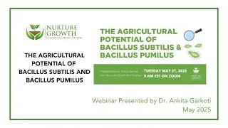 The Agricultural Potential of Bacillus Subtilis and Bacillus Pumilus