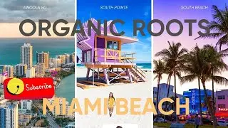 Organic Roots| Shayla Vega | Miami Beach| 10 12 25