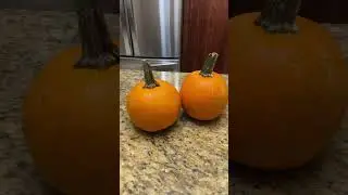 Why can&rsquo;t you eat just any pumpkin???