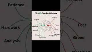 Top 1% Traders Mindset: #TraderMindset #ForexEducation #tradingeducation #forex #explore